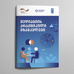 Mediation Practical Guide. 2026