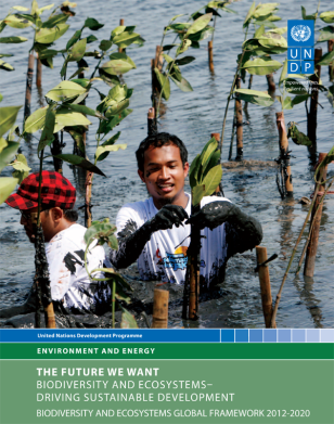 COVER-BDE-Global-Framework-2012-2020.PNG