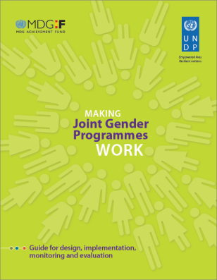 COVER-Making Joint Gender Programmes Work.PNG