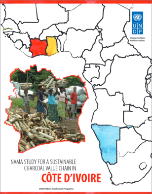 COVER-NAMA-Cote-D-Ivoire.PNG