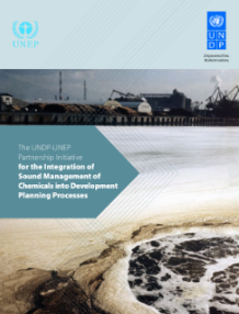 COVER-UNDP-UNEP-Partnership-Initiative-SM.PNG