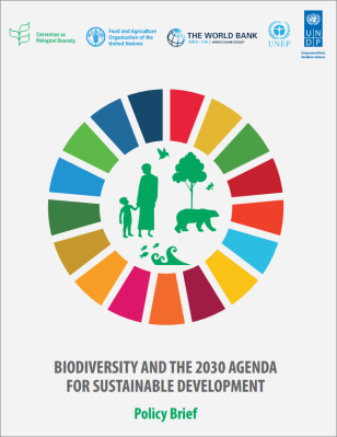 COVER_Biodiversity_2030_Agenda_PolicyBrief.PNG