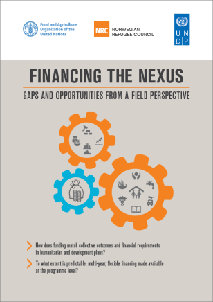 COVER_Financing_the_Nexus.PNG