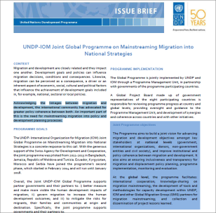 COVER_IB_UNDP-IOM_Joint_Prog_sm.PNG