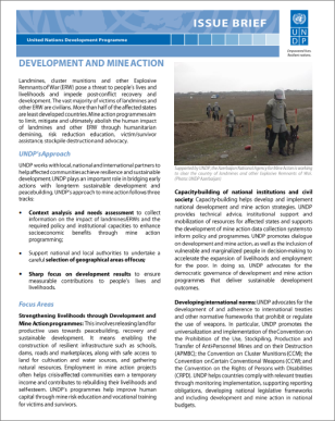 COVER_IssueBrief_MineAction.PNG