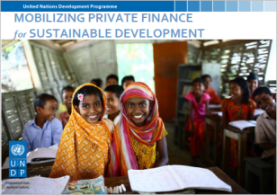 COVER_Mobilizing Private Finance for Sustainable Development_sm.PNG