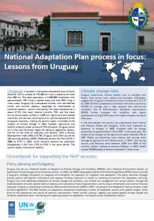 COVER_NAP_Uruguay.PNG