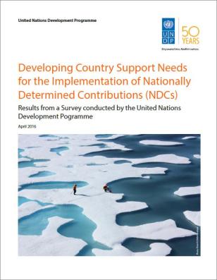 COVER_NDCs_Survey.JPG