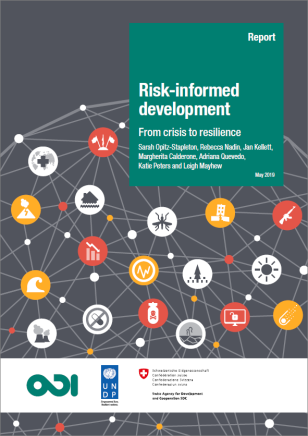 COVER_Risk-informed_Development.PNG
