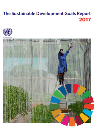 COVER_SDGsReport2017.PNG