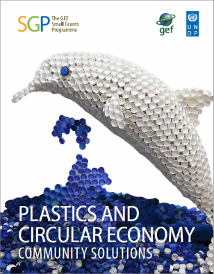 COVER_SGP_Plastics_Circular_Economy.PNG