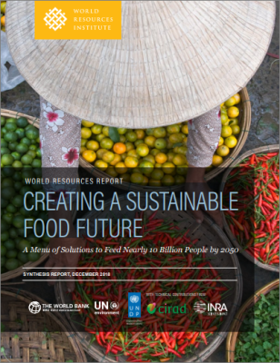 COVER_WRI_Sustainable_Food_Future.PNG