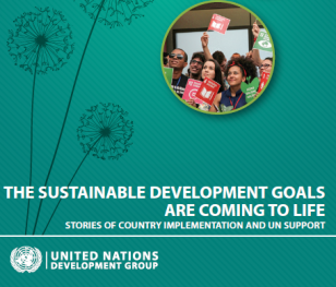 Cover_UNDG_SDGs_Stories_of_Country_Implementation_sm.PNG