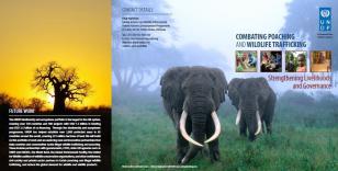 Cover_Wildlife Trafficking Brochure_2015.JPG