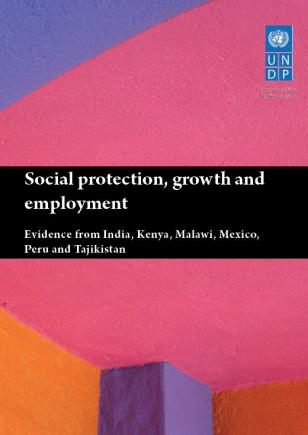 Social protection book.JPG