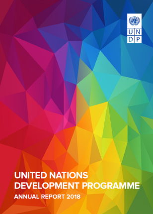 UNDP annual report cover page.png