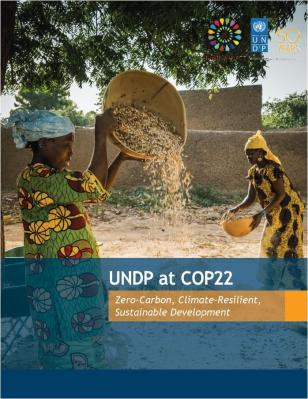 UNDP at COP22 cover.JPG