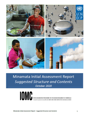 UNDP-2020-MIA-Guidance-COVER.PNG