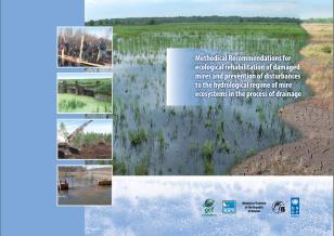 UNDP-Biodiversity-Method-Recommendations-cover.jpg