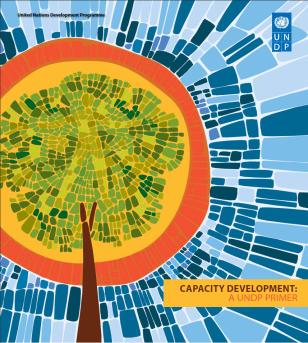 UNDP-CC-CD-Primer-cover.jpg