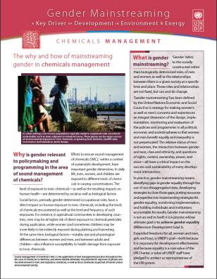 UNDP-Chemical-Gender-Mainstreaming-cover.jpg