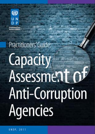 UNDP-DG-Practioners-Guide-cover.jpg