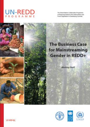 UNDP-Gender-Business-Case-for-mainstreaming-Gender-REDD-cover.jpg