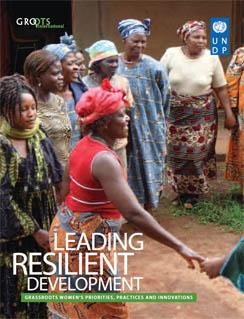 UNDP-Gender-Leading-Resilient-Development-cover.jpg