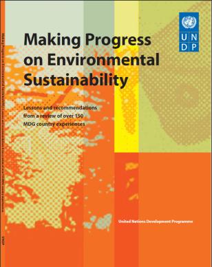 UNDP-IntEnv-Making-Progress-cover.jpg