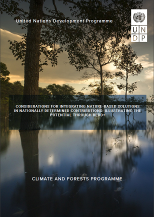 UNDP-Integrating-Nature-Based-Solutions-in-NDCs-Potential-Through-REDD-COVER.PNG