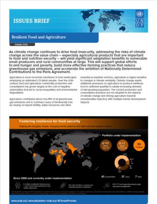 UNDP-Issue-Brief-Food-and-Agriculture-COVER.JPG
