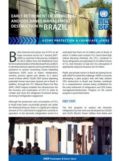 UNDP-Ozone-Brazil-Early-Retirement-of-Refrigerators-cover.jpg