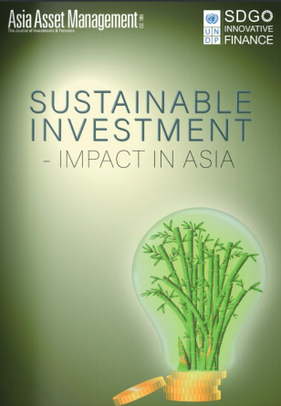 UNDP-RBAP-Sustainable-Investment-Impact-in-Asia-2020-cover.PNG