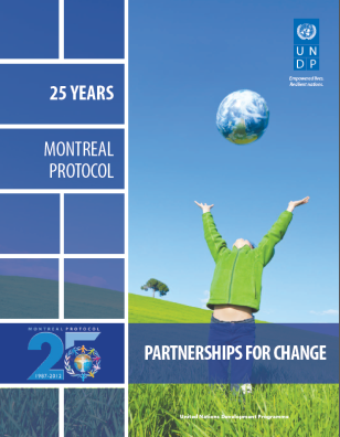 cover-25yrs-MP-partnershipsforchange.PNG