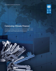 cover-catalyzing-climate-finance.gif