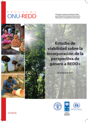 undp-global-ONU-REDD-2011-ES.png