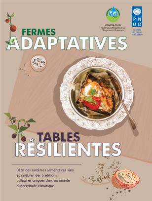 CCAF-cookbook-COVER-french.png
