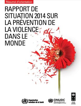 UNDP-Report-Violence-status-2014-FR.jpg