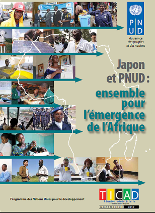 UNDP-TICAD-Brochure-FR-2017.png