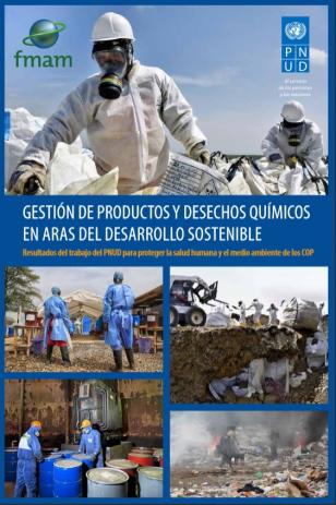UNDP_ChemicalandWasteManagement_Cover_SP.jpg
