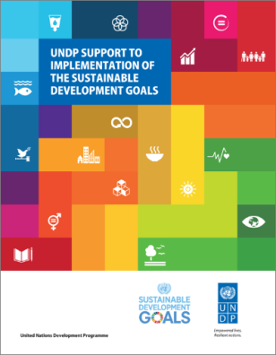 UNDP_SDG_Prospectus_Cover-w600px.png
