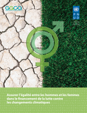 undp-global-ensure-equality-2013-FR.png