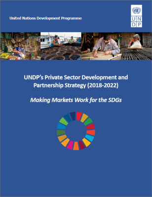 undp-Private_Sector_Strategy_COVER.PNG