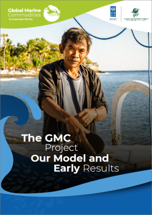 undp-bpps-GMC-Project_Our_Model_and_Early_Results_COVER.PNG