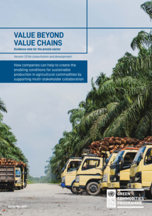 undp-bpps-greencommodites_Value_Beyond_Value_Chains_COVER_EN.PNG