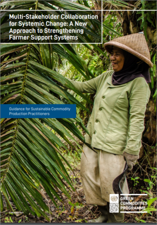 undp-gef-bpps-GMC-Project_Strengthening_Farmer_Support_Systems_COVER.PNG