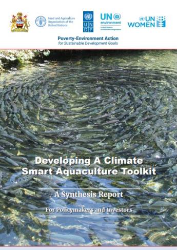 Climate Smart Aquaculture Synthesis Report