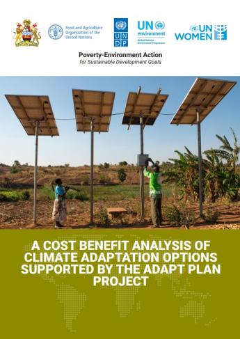 Cost Benefit Analysis Report
