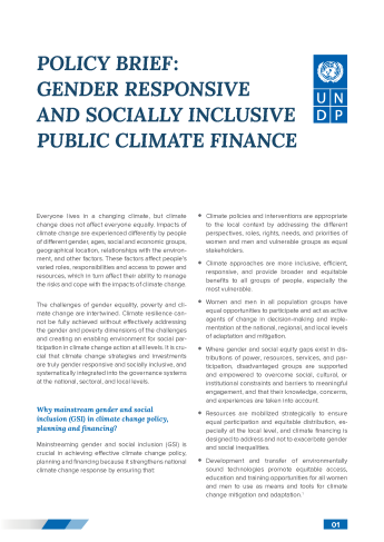 Cover page Policy Brief Gender Responsive and Socially Inclusive Public Climate Finance