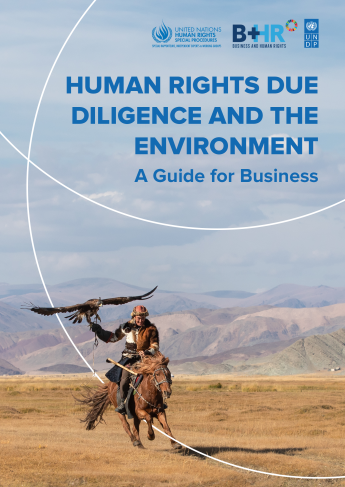 Human Rights Due Diligence and the Environment: A Guide for Business